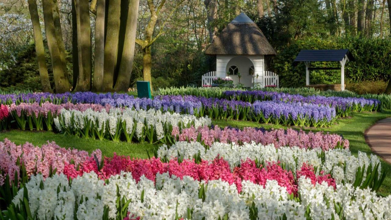 Molecaten Park Noordduinen Katwijk aan Zee Esterno foto