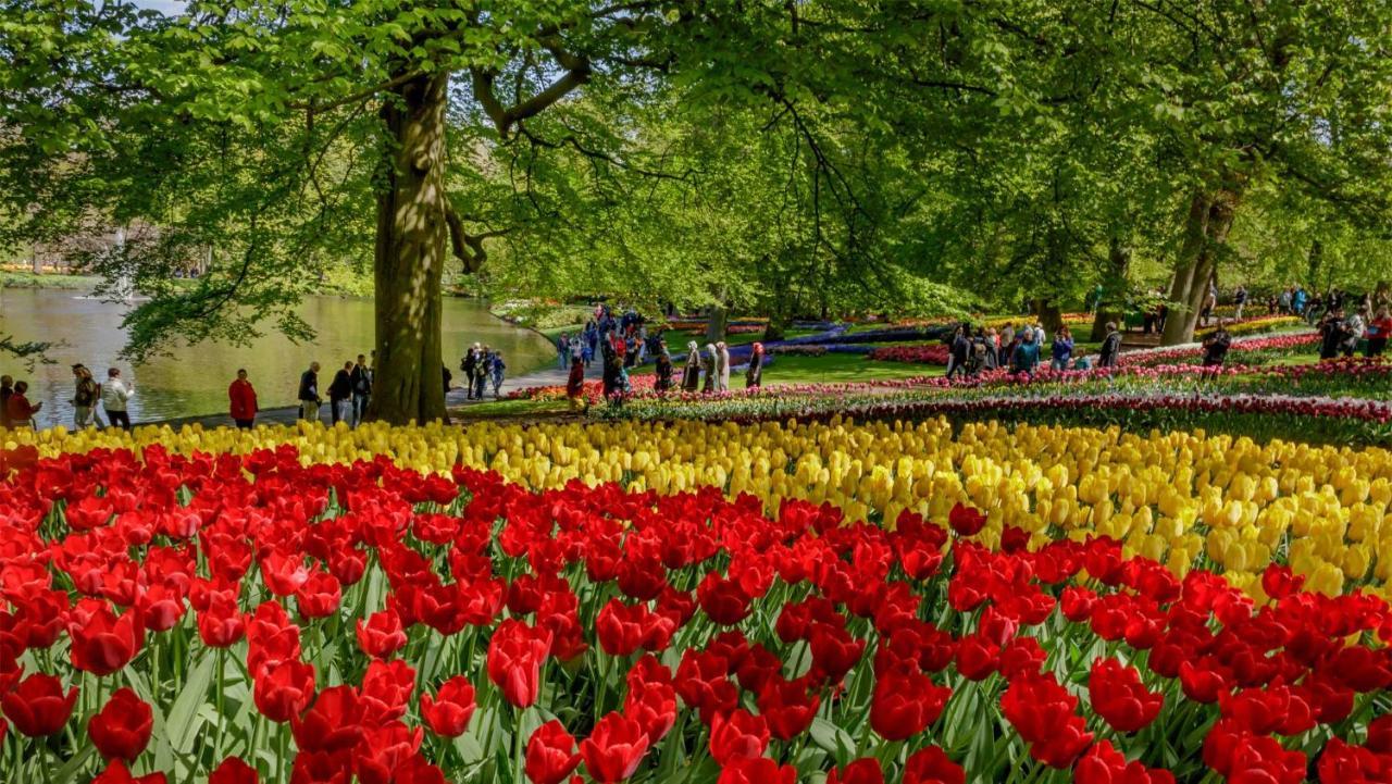Molecaten Park Noordduinen Katwijk aan Zee Esterno foto