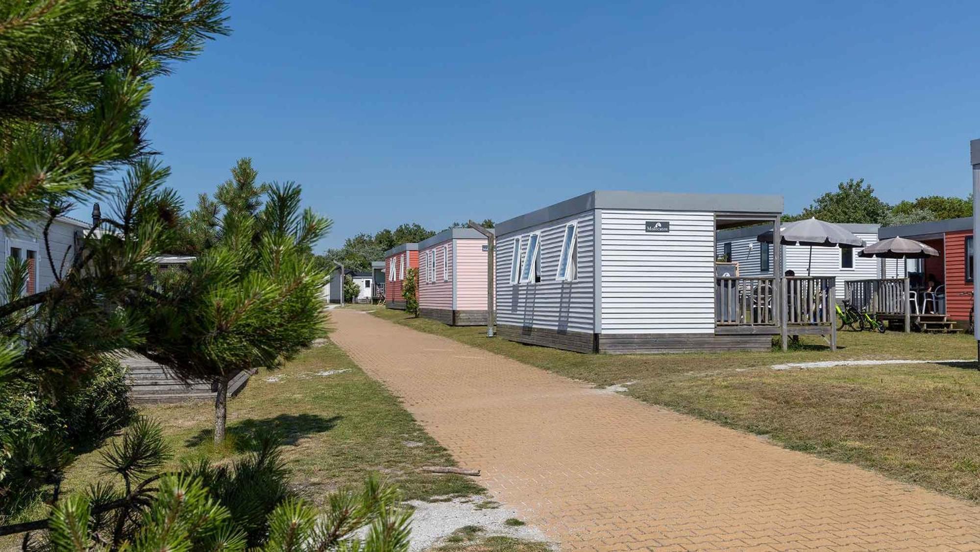 Molecaten Park Noordduinen Katwijk aan Zee Camera foto